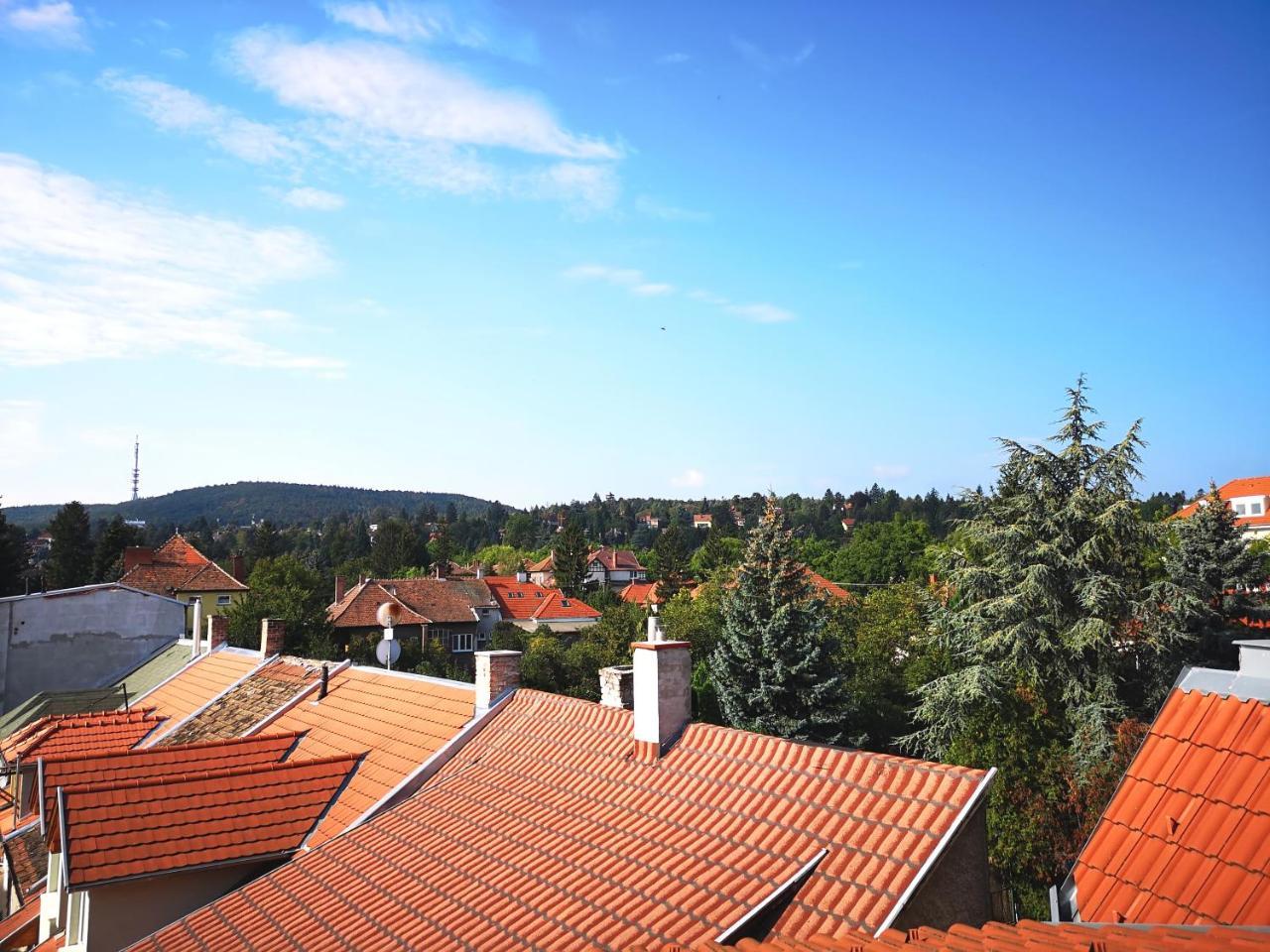 Hoke Lakas Lägenhet Sopron Rum bild